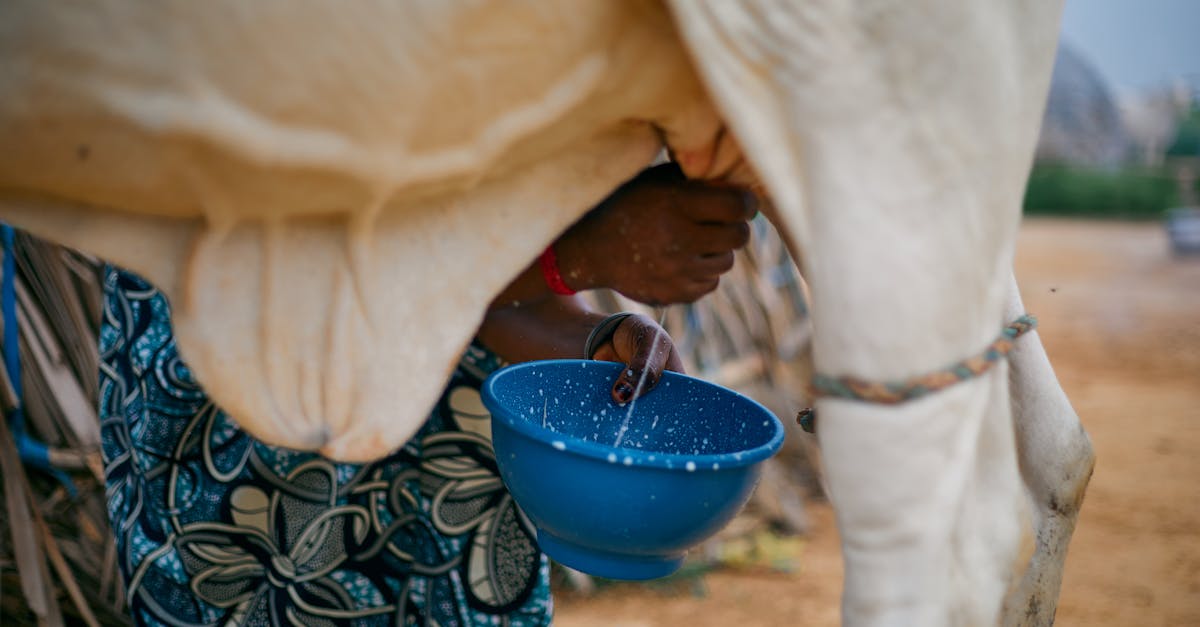 découvrez les tendances alimentaires durables qui révolutionnent notre façon de manger : innovations, alimentation écoresponsable et choix pour un avenir plus sain et respectueux de l'environnement.