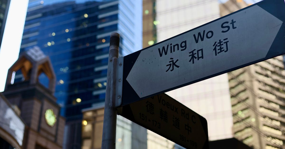 découvrez les enjeux et les pratiques de l'urbanisme moderne, un domaine essentiel pour façonner nos villes de demain. explorez les stratégies de développement durable, la gestion des espaces publics et l'interaction entre architecture et environnement.