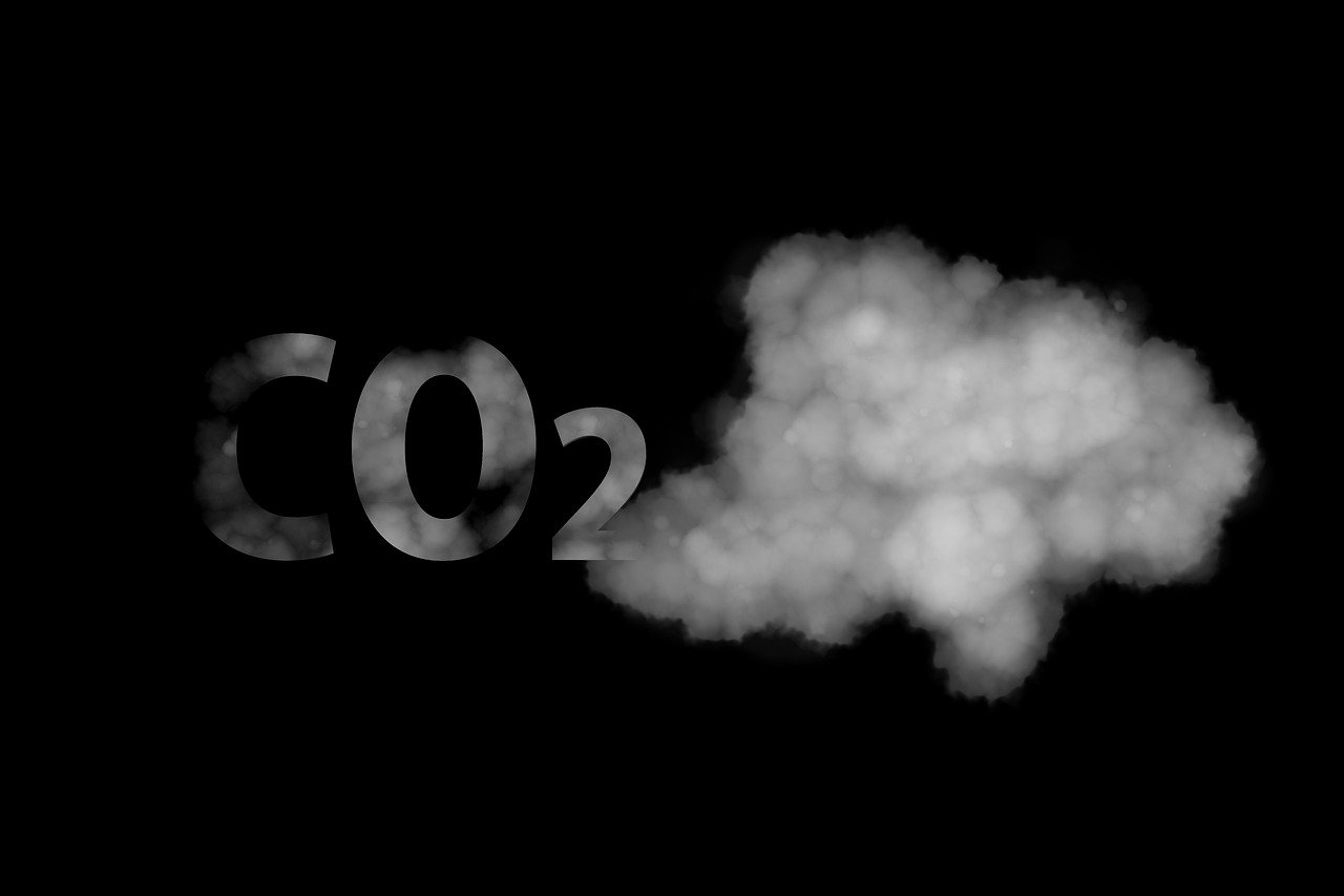découvrez les principales causes du changement climatique et comprenez comment les activités humaines impactent notre planète.
