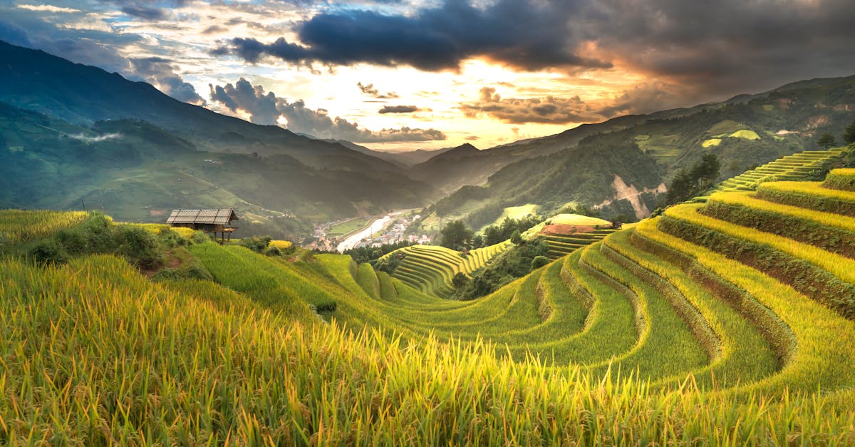 découvrez l'agriculture durable, une méthode innovante qui préserve l'environnement tout en garantissant une production alimentaire responsable. explorez les pratiques agricoles respectueuses de la planète, favorisant la biodiversité et l'utilisation optimale des ressources naturelles.