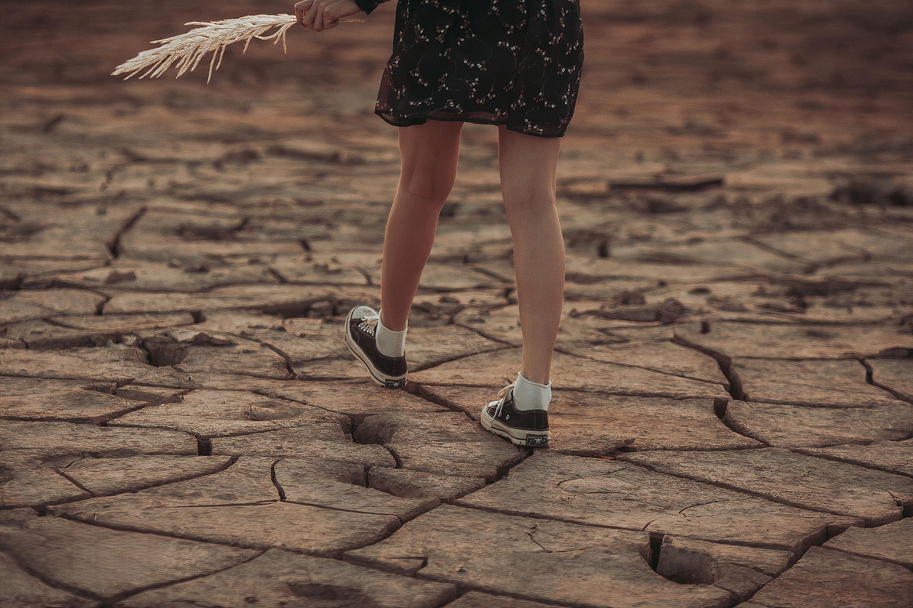 découvrez les causes et les conséquences du changement climatique, ainsi que les solutions pour lutter contre ce phénomène mondial qui façonne notre avenir.
