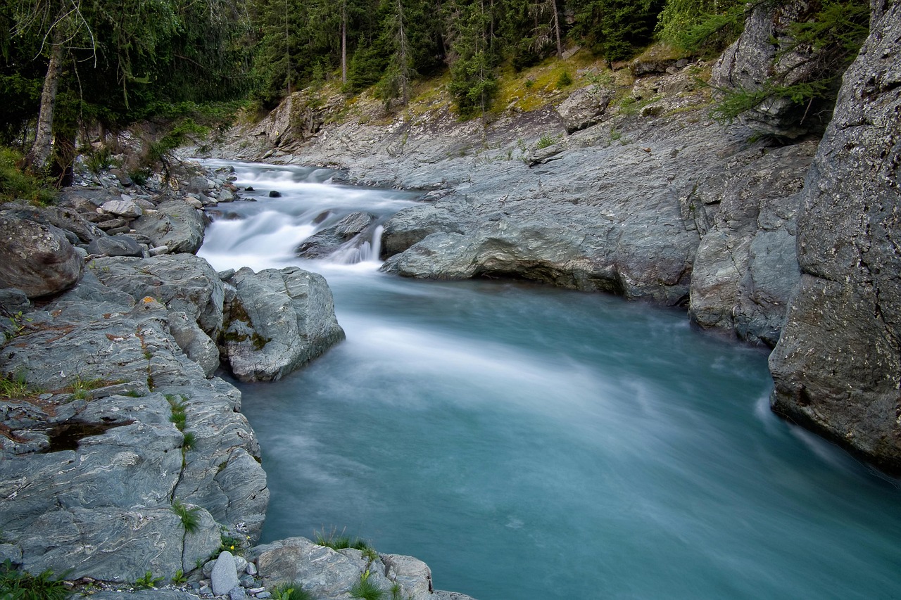 découvrez des informations essentielles et des conseils pratiques pour protéger et préserver notre environnement, promouvoir le développement durable et sensibiliser à l'importance de la nature.
