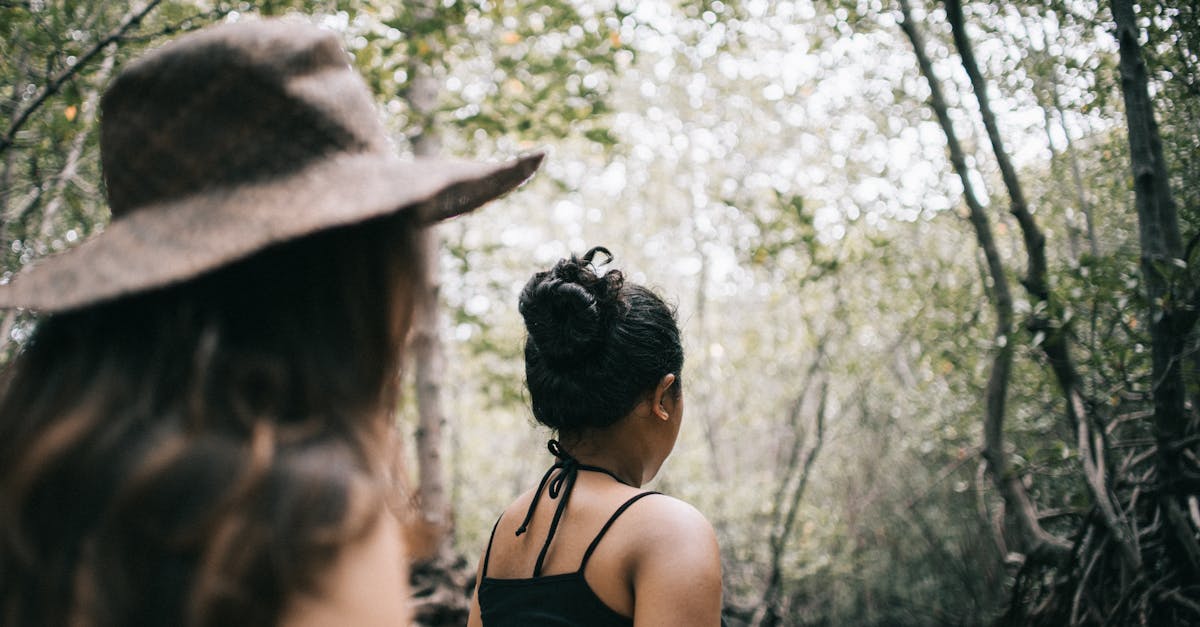 découvrez l'importance des écosystèmes, leurs composants et comment ils interagissent pour maintenir l'équilibre de notre planète. explorez les menaces qui pèsent sur leurs biodiversités et les actions nécessaires pour les préserver.