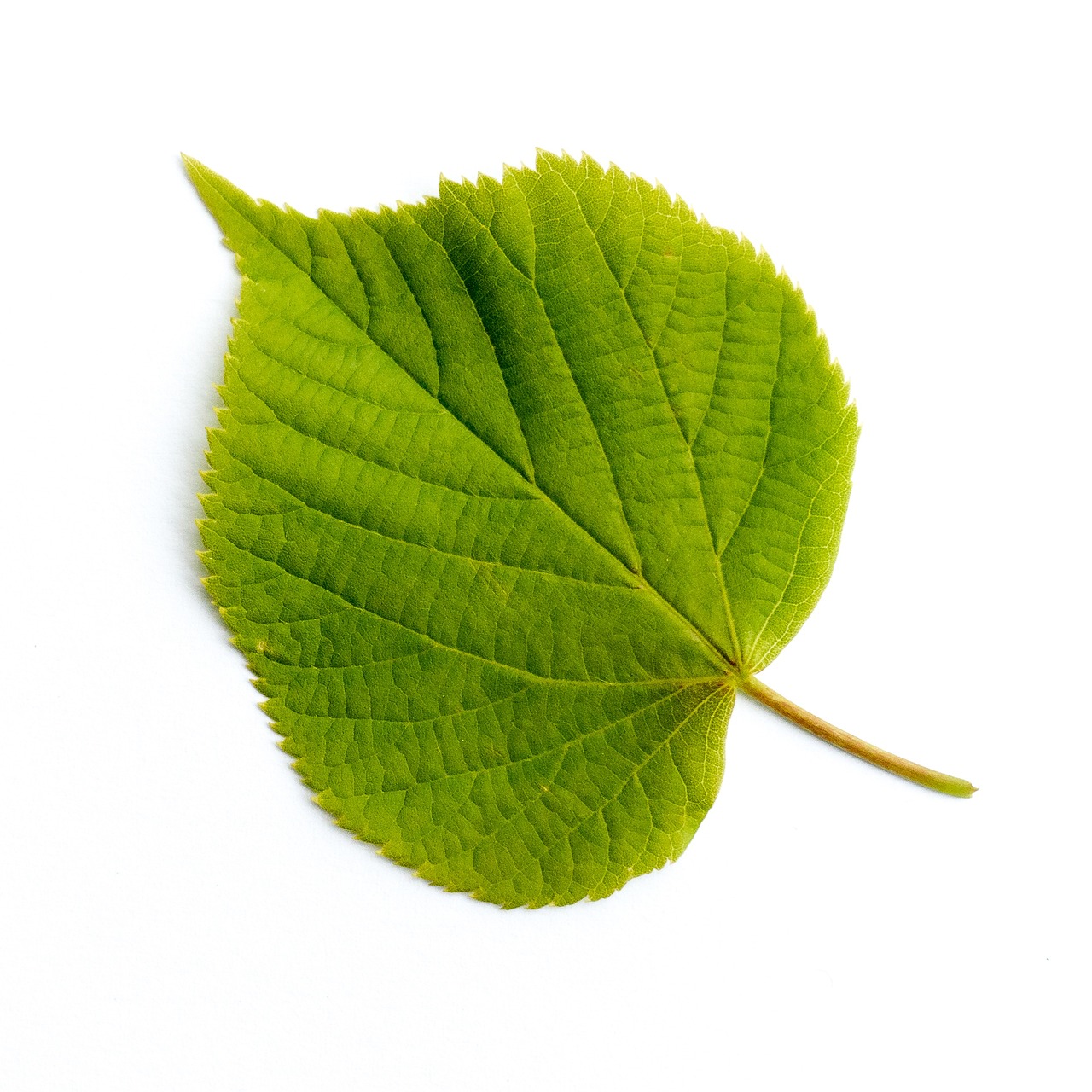 découvrez linde, un leader mondial des technologies et solutions de gaz industriels, offrant des services innovants pour l'industrie, la santé et l'environnement. explorez leurs offres et leurs engagements en faveur du développement durable.