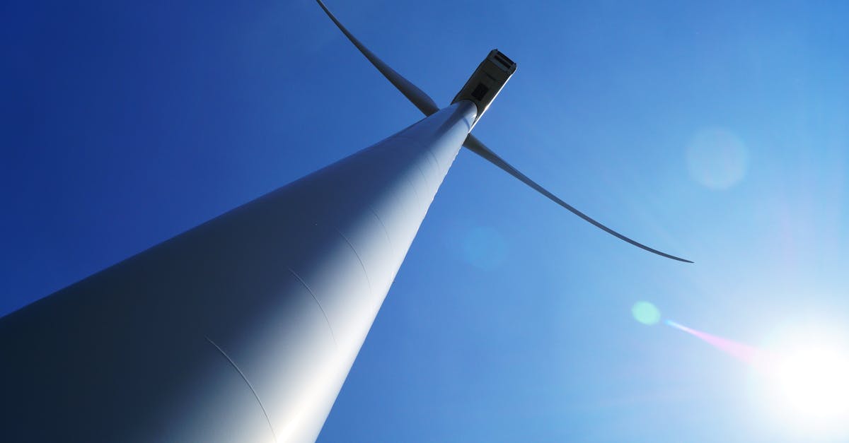 découvrez comment l'innovation durable transforme notre avenir avec des solutions écologiques. explorez des idées novatrices qui allient performance économique et responsabilité environnementale.