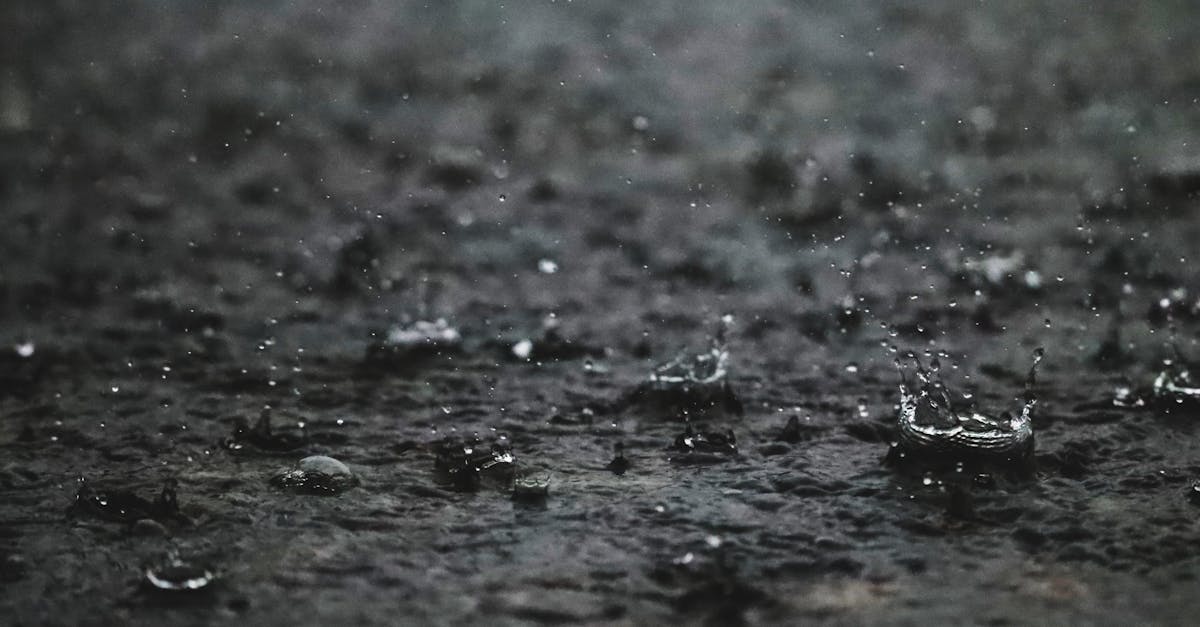 découvrez le fascinant cycle de l'eau, un processus naturel essentiel qui régule notre environnement. explorez les étapes de l'évaporation, de la condensation et des précipitations, et comprenez comment ce cycle crucial soutient la vie sur terre.