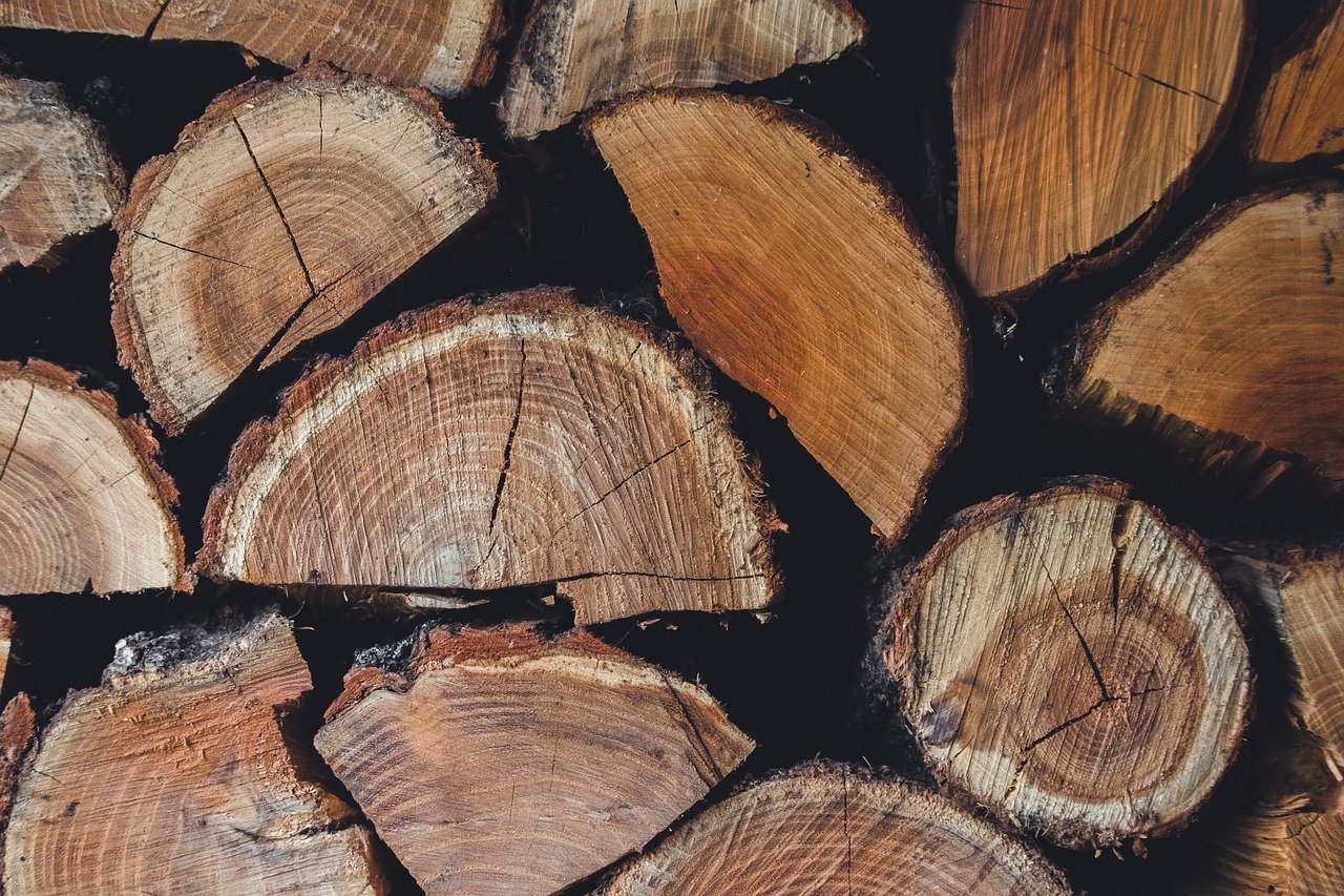 découvrez les causes, conséquences et solutions à la déforestation. informez-vous sur son impact environnemental et les actions pour protéger nos forêts.