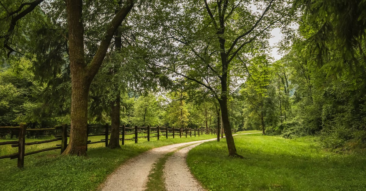 découvrez les servitudes environnementales, des accords juridiques qui préservent et protègent les ressources naturelles tout en offrant des solutions durables pour un avenir respectueux de l'environnement. informez-vous sur leur importance et les avantages qu'elles apportent à notre planète.