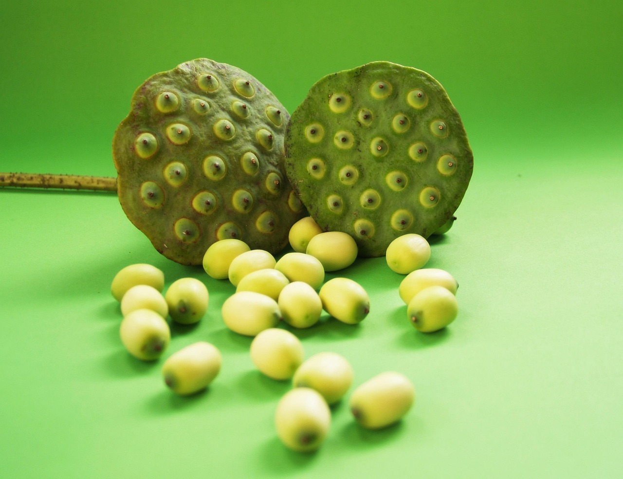 découvrez nos produits biologiques de qualité, cultivés naturellement pour garantir fraîcheur et saveur. explorez notre sélection détaillée de fruits et légumes bio.