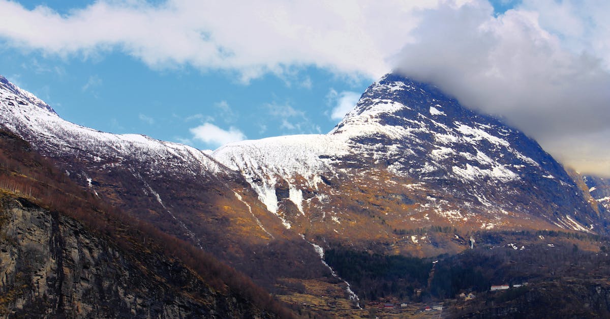découvrez des stratégies efficaces pour atténuer le changement climatique. explorez les initiatives, technologies et meilleures pratiques pour réduire les émissions de carbone et préserver notre planète pour les générations futures.