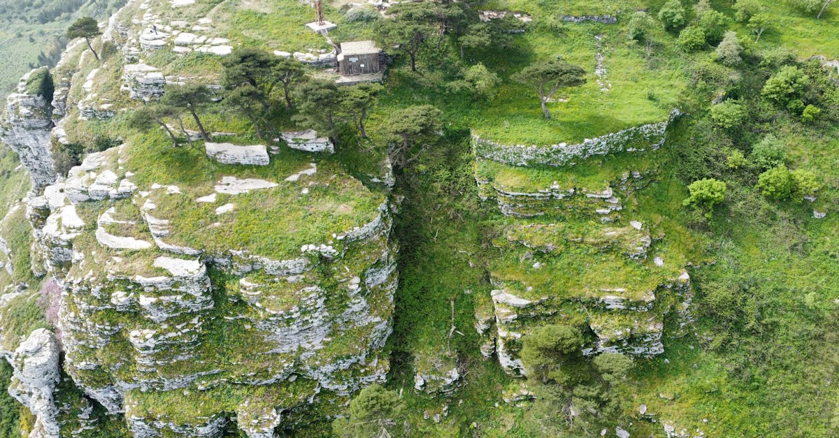 découvrez les stratégies essentielles pour atténuer les effets du changement climatique. explorez des solutions innovantes, des actions individuelles et collectives, et des politiques durables visant à réduire les émissions de gaz à effet de serre et protéger notre planète.