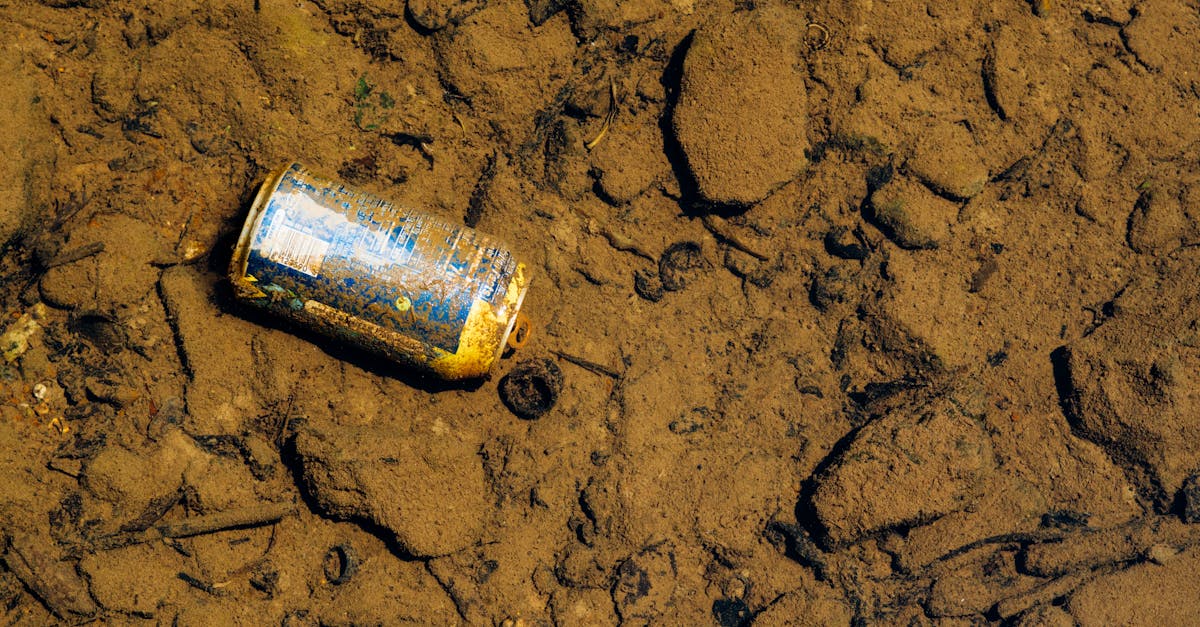 découvrez les enjeux de la pollution des sols, ses causes, ses conséquences sur l'environnement et la santé, ainsi que les solutions pour restaurer et protéger cette ressource essentielle.