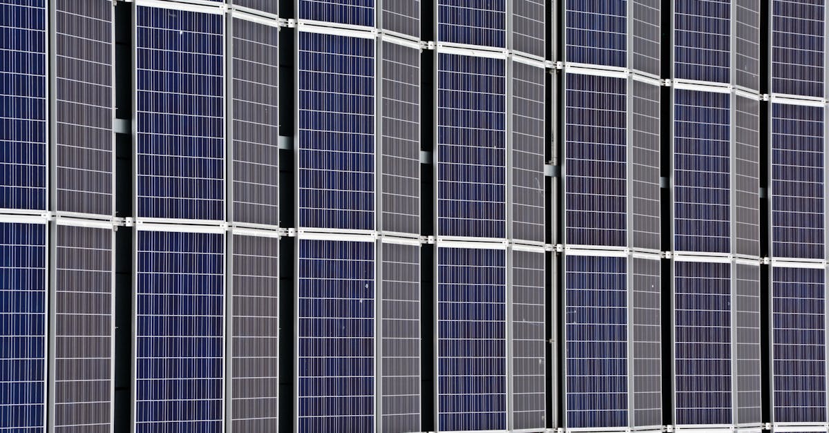 découvrez l'importance de la durabilité dans notre monde moderne. explorez des pratiques écologiques, des innovations durables et des conseils pour réduire votre empreinte carbone tout en préservant notre planète pour les générations futures.