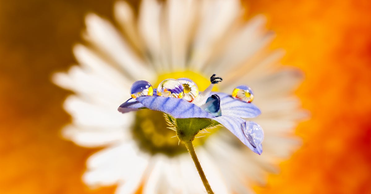 découvrez les réformes écologiques qui transforment notre environnement. apprenez comment ces initiatives visent à promouvoir la durabilité, à protéger la biodiversité et à améliorer la santé de notre planète.