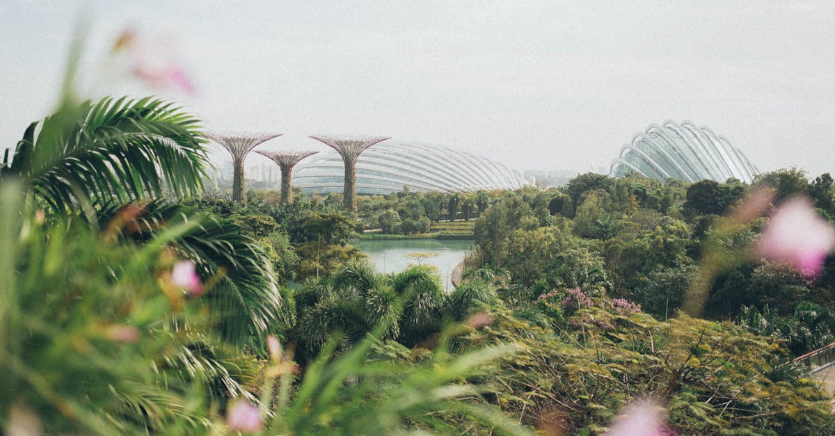 découvrez le concept du sustainable urbanism, une approche innovante qui allie durabilité et développement urbain. explorez des solutions écologiques pour des villes plus vertes, résilientes et harmonieuses, favorisant le bien-être des habitants tout en préservant l'environnement.