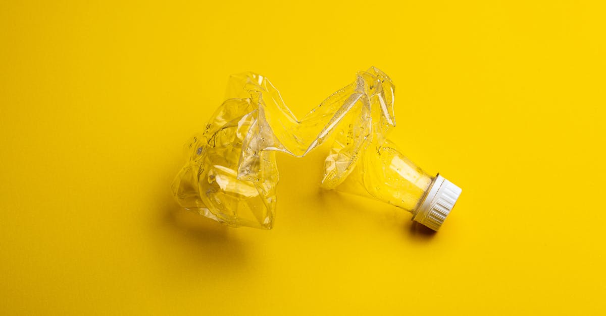 découvrez comment réduire, recycler et gérer vos déchets efficacement. apprenez des astuces pratiques pour un mode de vie plus durable et respectueux de l'environnement.