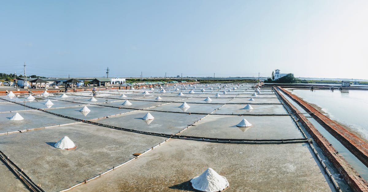 découvrez les meilleures pratiques pour une gestion durable des zones côtières, visant à préserver les écosystèmes marins tout en soutenant le développement économique et social des communautés littorales.