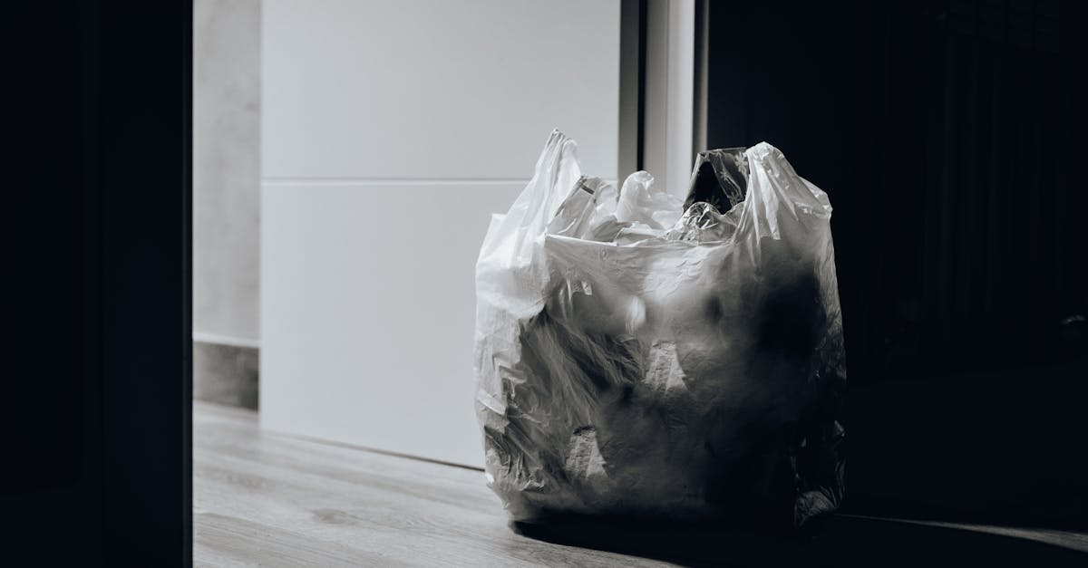 découvrez des stratégies efficaces pour la réduction des déchets, des conseils pratiques et des solutions innovantes pour minimiser votre impact environnemental et promouvoir un mode de vie durable.