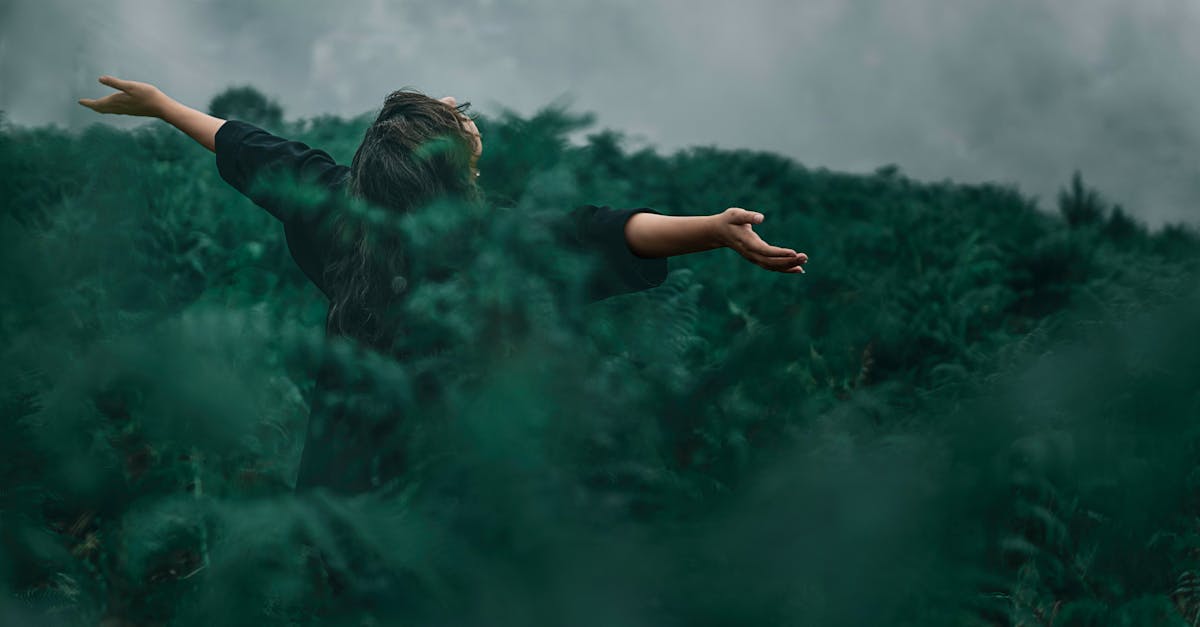 découvrez les avantages de l'énergie verte, une solution durable pour un avenir respectueux de l'environnement. explorez les différentes sources d'énergie renouvelable et leur impact positif sur notre planète.