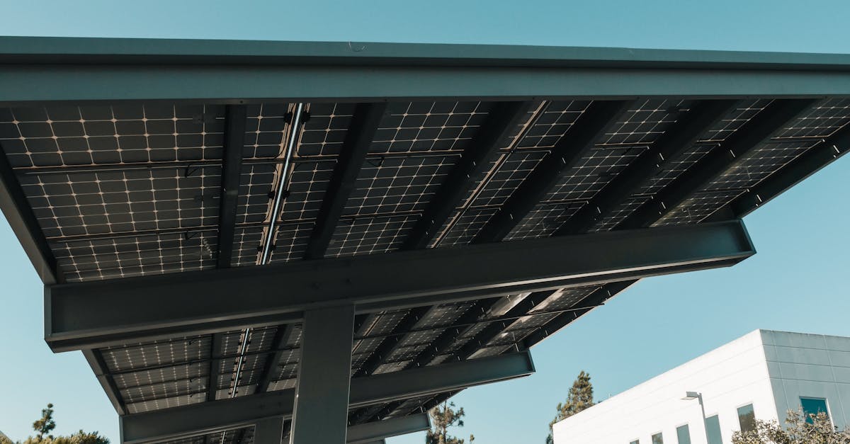 découvrez l'innovation durable, une approche qui allie créativité et responsabilité environnementale pour concevoir des solutions respectueuses de notre planète tout en répondant aux besoins actuels.