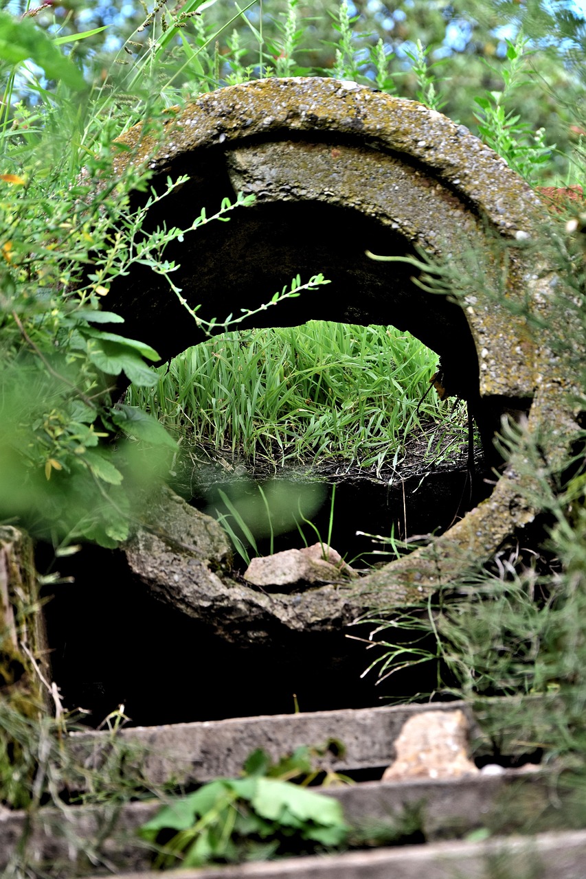 découvrez des projets verts innovants et durables qui favorisent la protection de l'environnement et l'avenir écologique.