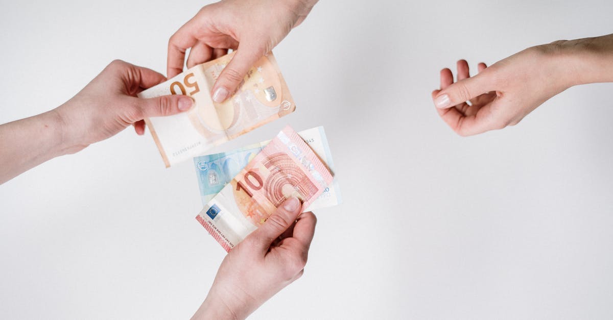 découvrez le financement vert, une approche innovante qui soutient les projets écologiques et durables. apprenez comment ce type de financement contribue à la protection de l'environnement tout en offrant des opportunités d'investissement lucratives.