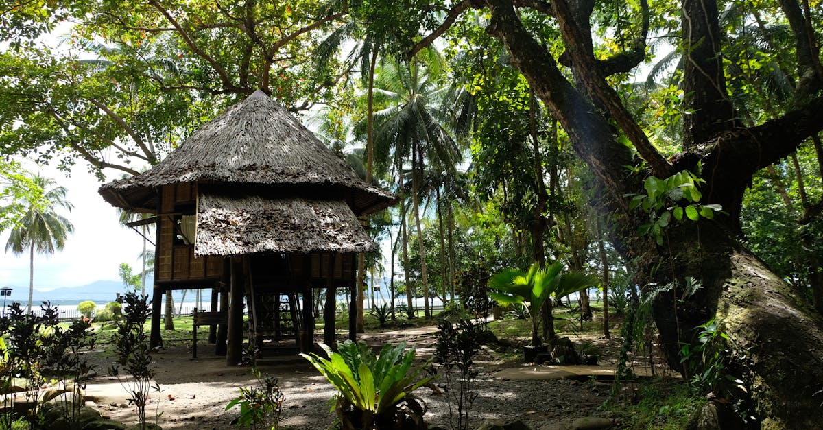 découvrez comment les dynamiques démographiques durables influencent l'avenir de nos sociétés, en conciliant croissance de la population, équité sociale et respect de l'environnement.