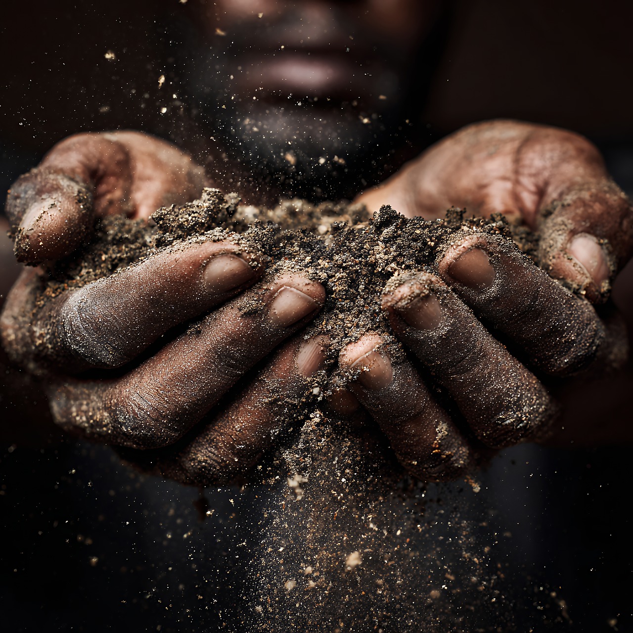 découvrez les pratiques agricoles durables qui préservent l'environnement, améliorent la qualité des sols et favorisent une production responsable pour un avenir plus vert.