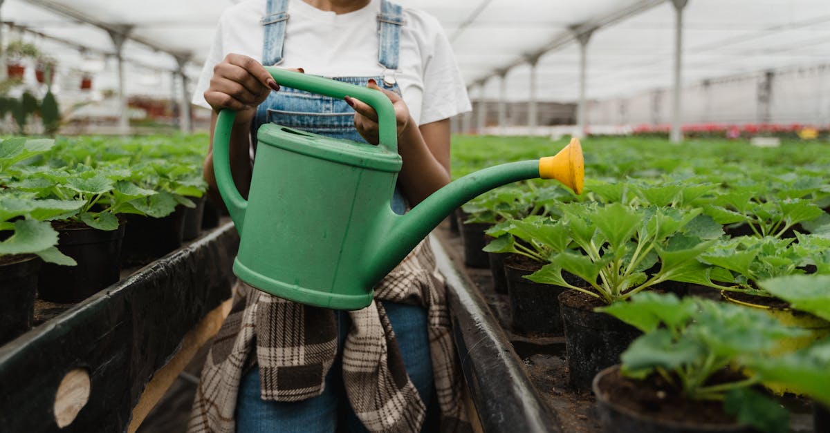 découvrez les pratiques de l'agriculture durable qui préservent l'environnement tout en garantissant une production alimentaire responsable. apprenez comment cette approche innovante contribue à la sauvegarde des ressources naturelles et à la lutte contre le changement climatique.