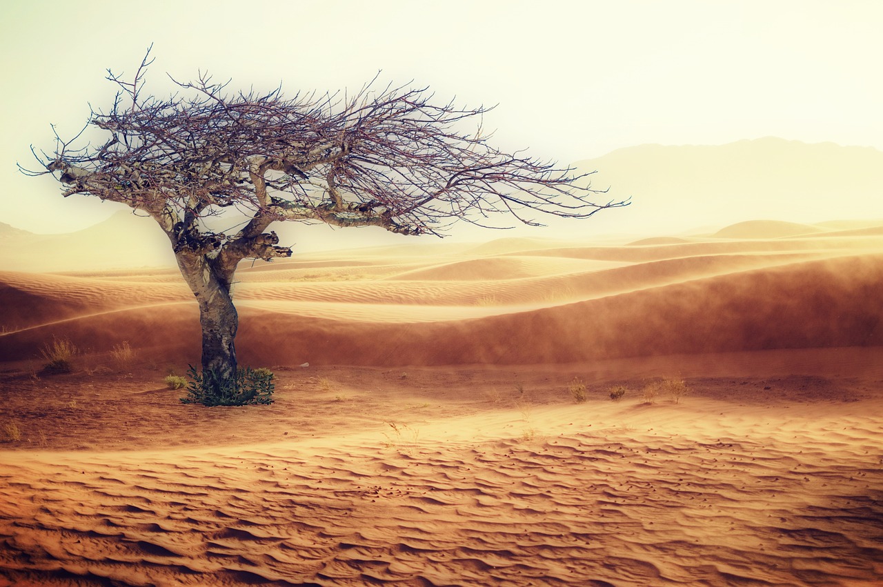 découvrez les défis liés au changement climatique : impacts environnementaux, économiques et sociaux, ainsi que les solutions innovantes pour un avenir durable. engagez-vous dans la lutte contre ce phénomène mondial.