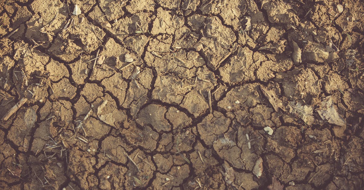 découvrez les impacts environnementaux des activités humaines sur notre planète. explorez les enjeux liés à la pollution, le changement climatique et la biodiversité, et apprenez comment agir pour un avenir durable.