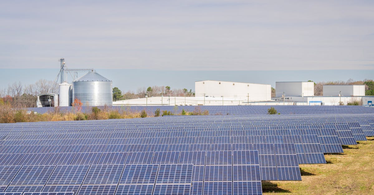 découvrez l'importance des ressources durables pour un avenir écologique. apprenez comment ces ressources contribuent à la protection de l'environnement, la réduction des déchets et le développement d'une économie verte.