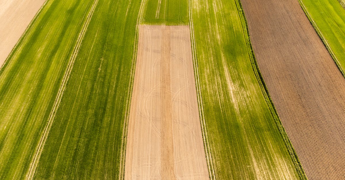 découvrez les pratiques de l'agriculture durable, une approche innovante qui préserve l'environnement tout en répondant aux besoins alimentaires de la population mondiale. apprenez comment des techniques respectueuses de la nature peuvent améliorer la biodiversité, réduire l'usage des pesticides, et garantir une agriculture éthique et pérenne.