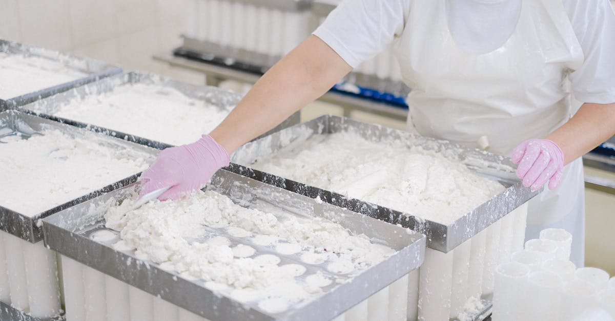 découvrez l'importance de la sécurité alimentaire pour garantir des repas sains et sûrs. explorez des conseils pratiques et les meilleures pratiques pour prévenir les risques alimentaires et assurer la qualité des aliments que vous consommez.