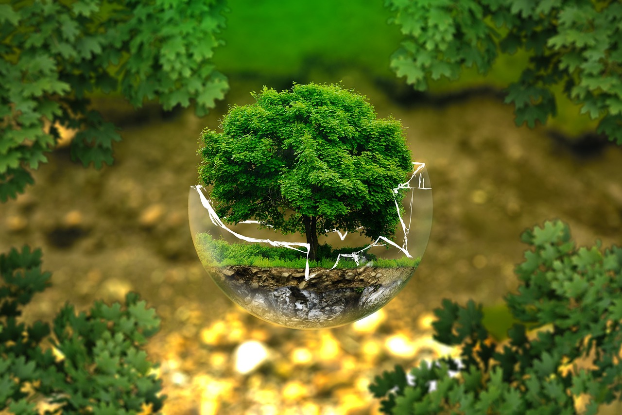 découvrez ce qu'est la transition écologique, ses enjeux et ses solutions pour adopter un mode de vie plus respectueux de l'environnement et contribuer à la protection de la planète.