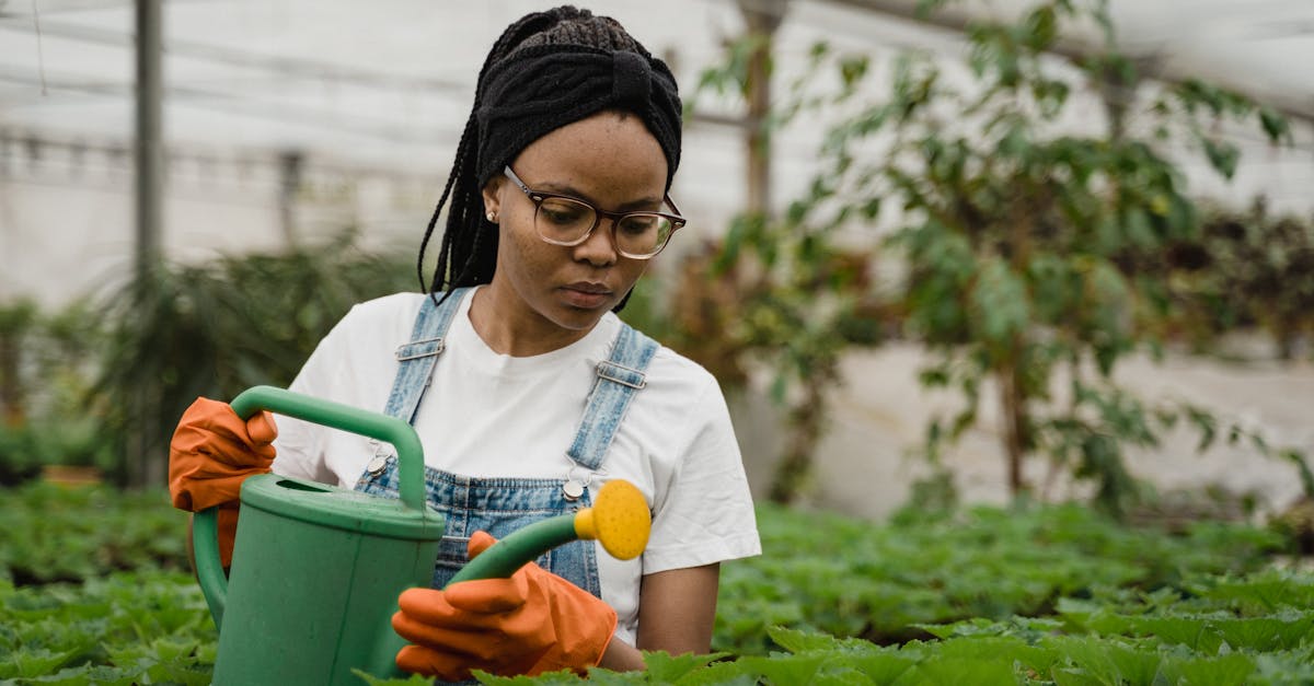 découvrez l'agriculture urbaine, une pratique innovante qui transforme les villes en espaces de culture durable. apprenez comment cultiver des plantes et des légumes dans des environnements urbains tout en contribuant à la biodiversité et à la lutte contre le changement climatique.