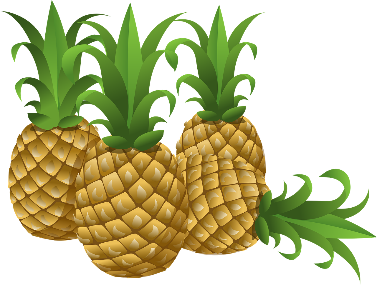 découvrez une sélection unique de fruits exotiques aux saveurs inédites, parfaits pour apporter fraîcheur et originalité à votre alimentation.