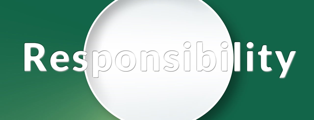 découvrez le concept de responsabilité sociétale des entreprises (rse) : définition, enjeux et bonnes pratiques pour une entreprise éthique et engagée envers la société et l'environnement.
