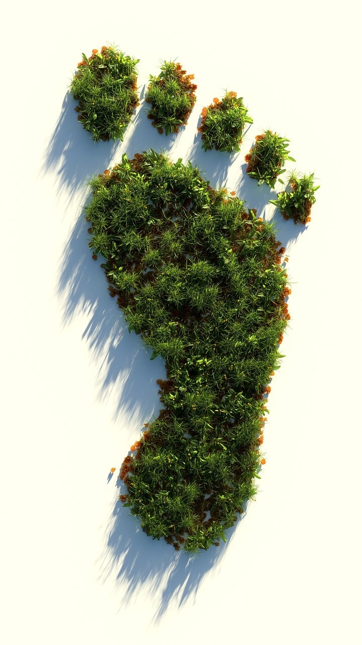 découvrez ce qu'est l'empreinte écologique, un indicateur clé pour mesurer l'impact de nos activités sur l'environnement et adopter un mode de vie durable.