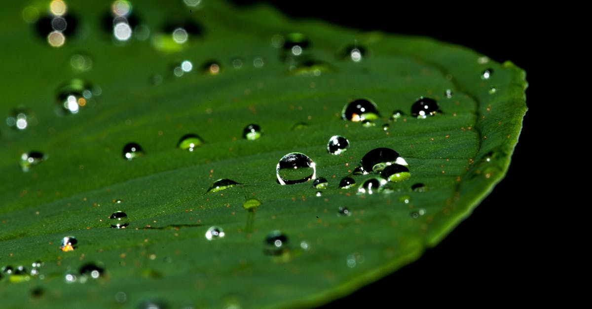 découvrez l'importance de la conservation de l'eau pour notre planète. apprenez des astuces simples et efficaces pour réduire votre consommation d'eau et préserver cette précieuse ressource pour les générations futures.