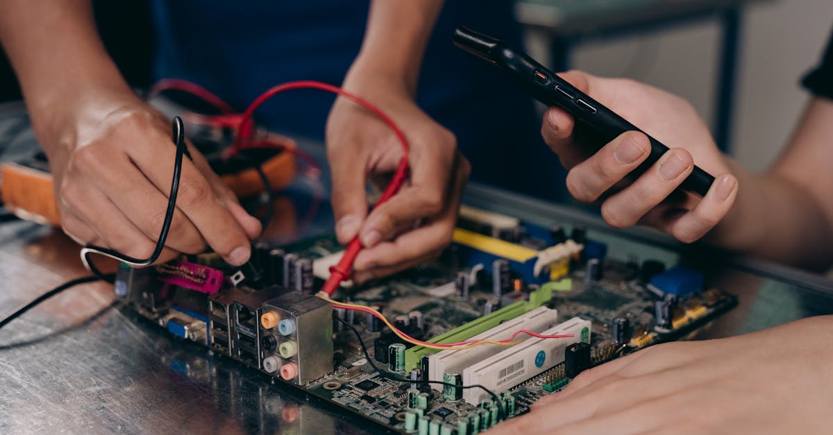 découvrez ce que sont les systèmes agroécologiques, leurs principes, avantages et leur rôle dans une agriculture durable respectueuse de l’environnement et de la biodiversité.