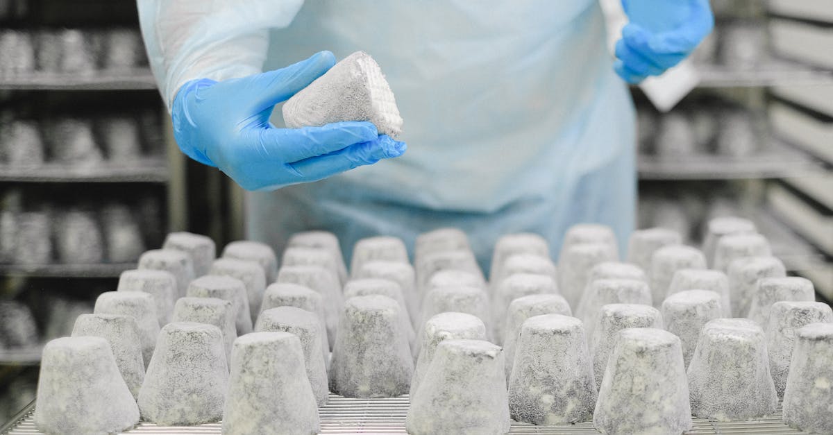 découvrez les meilleures pratiques et réglementations en matière de sécurité alimentaire pour garantir la santé de vos clients et la qualité de vos produits. renseignez-vous sur les normes essentielles pour une manipulation et une conservation des aliments sans risque.