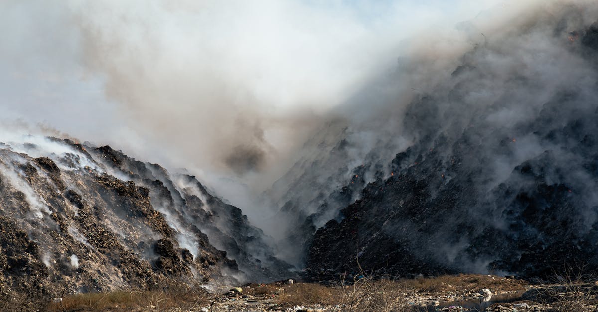 découvrez les impacts environnementaux majeurs qui affectent notre planète. analysez les enjeux écologiques, les conséquences des activités humaines et les solutions durables pour préserver notre environnement.