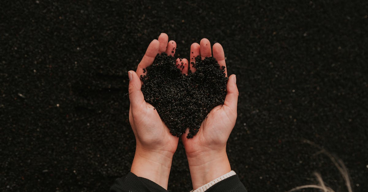 découvrez comment protéger les environnements naturels grâce à des actions concrètes et des initiatives durables, pour préserver la biodiversité et assurer un avenir sain pour notre planète.