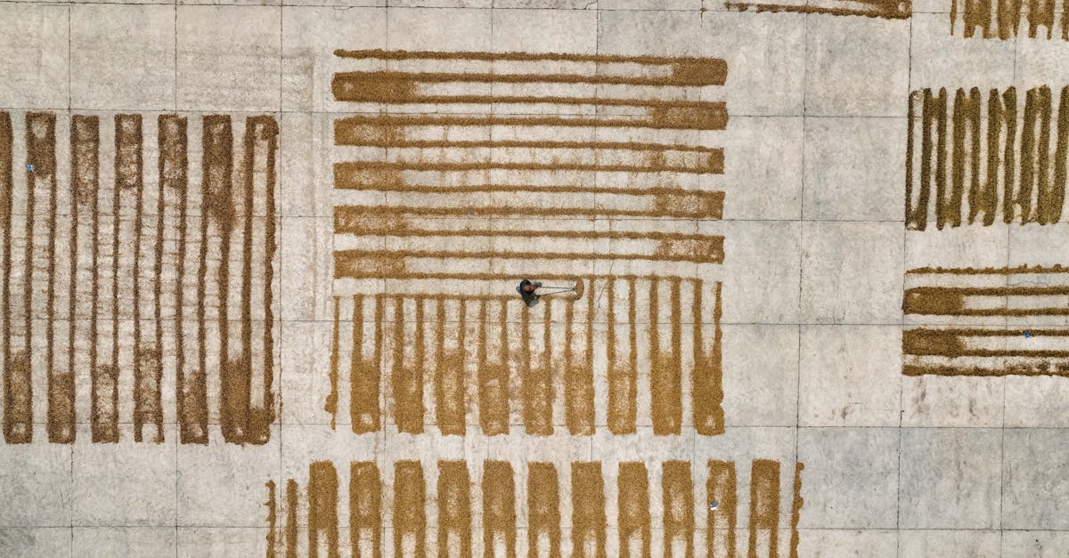 découvrez les stratégies et solutions innovantes pour l'adaptation au changement climatique, visant à protéger notre environnement et à assurer un avenir durable.