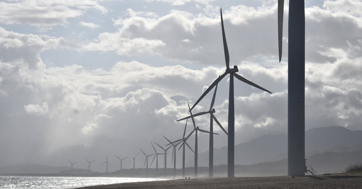 découvrez les avantages de l'énergie éolienne : une source d'énergie renouvelable, écologique et durable. apprenez comment les éoliennes transforment le vent en électricité, contribuant à un avenir énergétique plus vert.