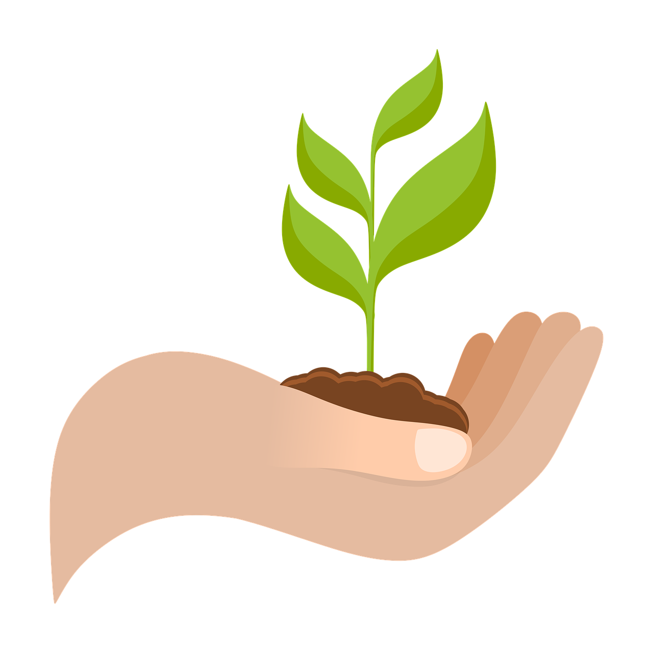 découvrez les stratégies et pratiques pour une croissance durable, alliant succès économique, responsabilité sociale et respect de l'environnement.