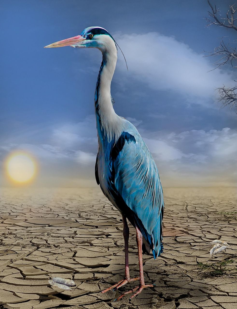 découvrez les causes et les conséquences du changement climatique, ses effets sur notre planète et les solutions pour limiter son impact sur l’environnement.