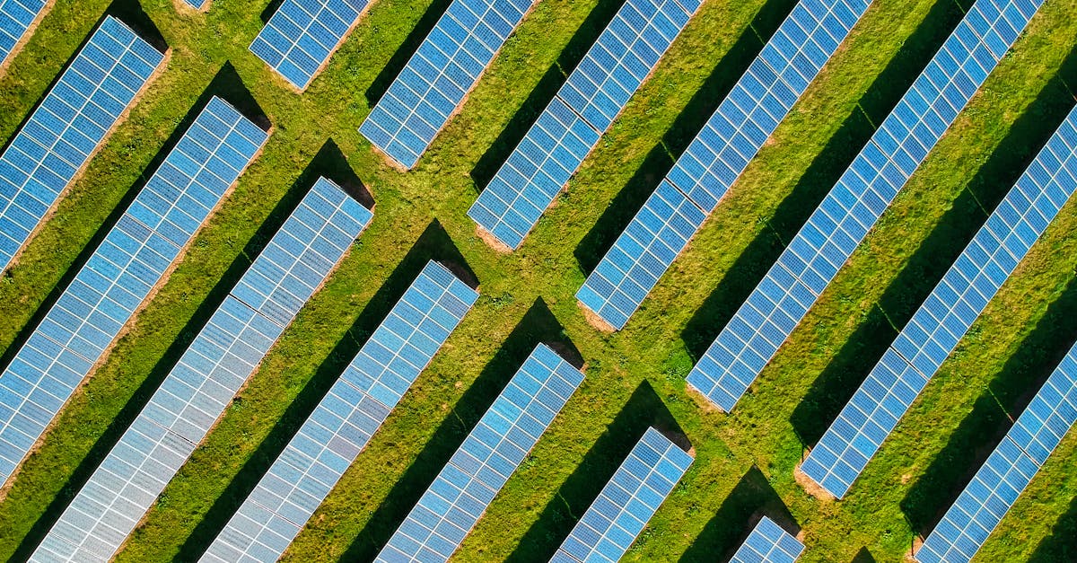 découvrez les ressources renouvelables, leur importance pour la durabilité environnementale et comment elles peuvent transformer notre avenir énergétique. apprenez les différentes sources, comme l'énergie solaire, éolienne et hydraulique, et pourquoi elles sont essentielles pour réduire notre empreinte carbone.