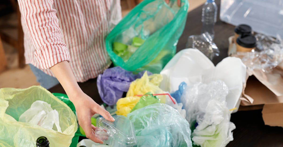 découvrez des pratiques durables qui préservent notre planète tout en améliorant votre qualité de vie. adoptez des solutions écologiques pour un avenir responsable et respectueux de l'environnement.